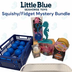 Mystery Capsule Scoop - Fidgets & Squishies